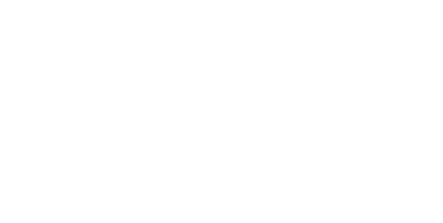 PulseGlobal Trade — Connecting India to the World